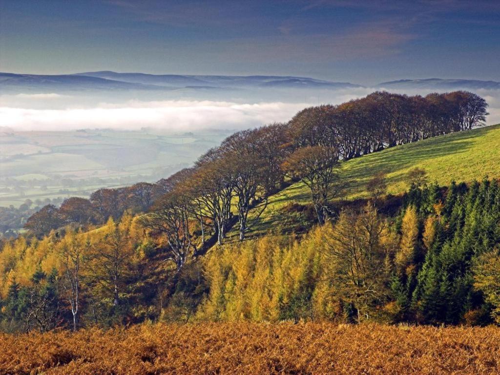 Notley Arms Inn Exmoor National Park Elworthy Eksteriør bilde